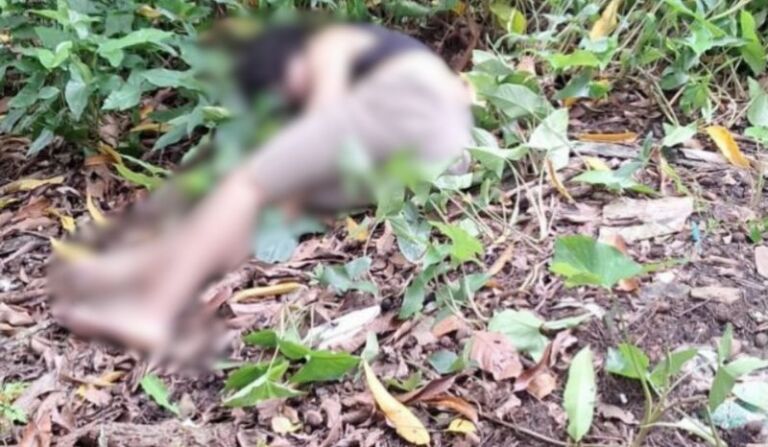 b3f24455fb16e5b7015fb6bbe46f50cd_corpo-manaus_D24AM-1-768x447