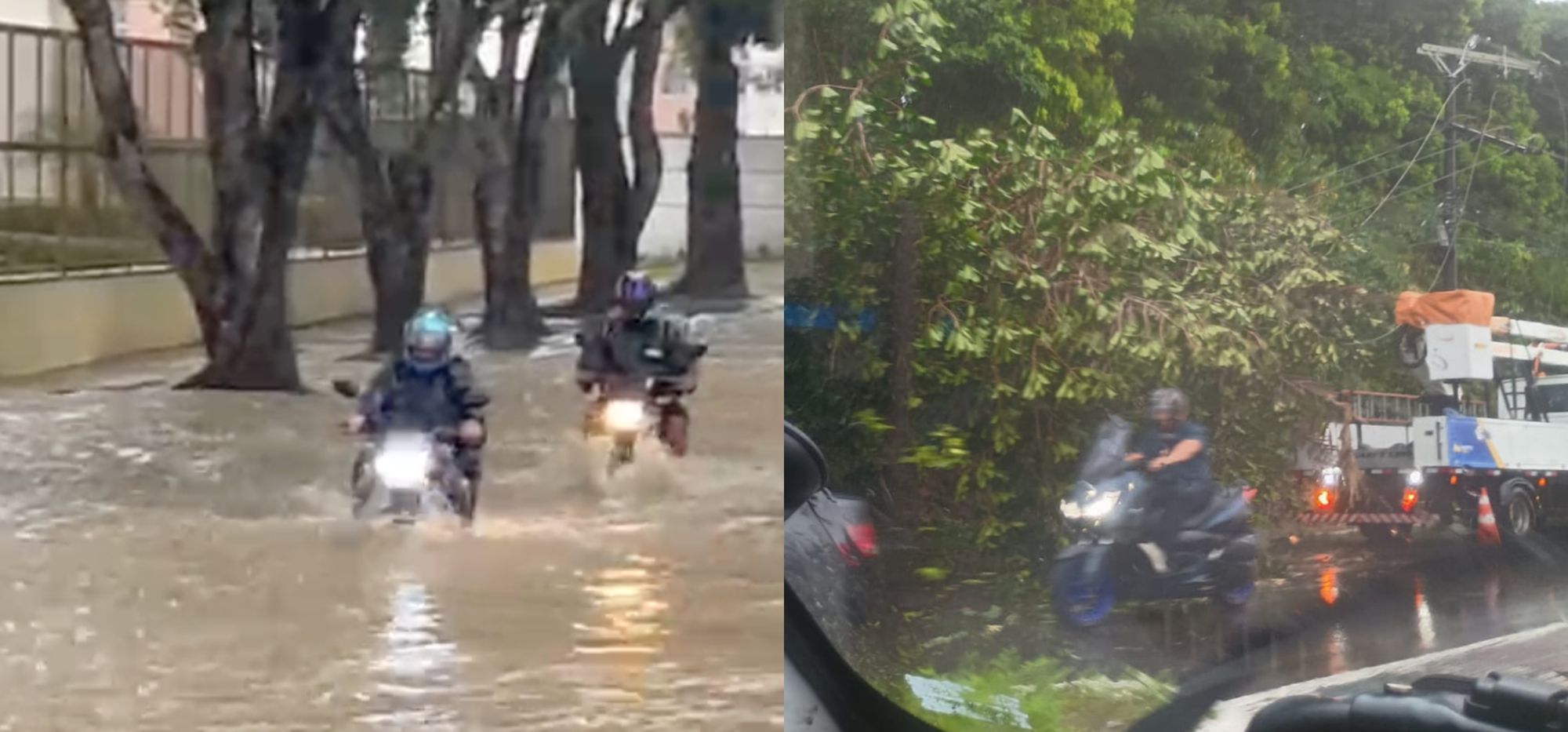 e40706db046bf1c601a5433d26039cbe_gasolina_(4)