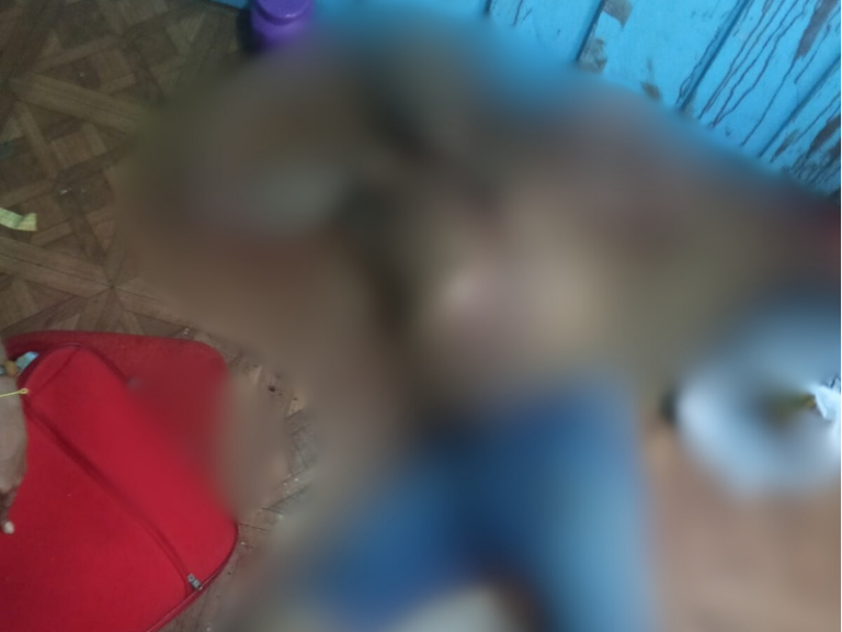 f66e97ce4cae23d56e8f745b2632755b_Odete-3-768x576