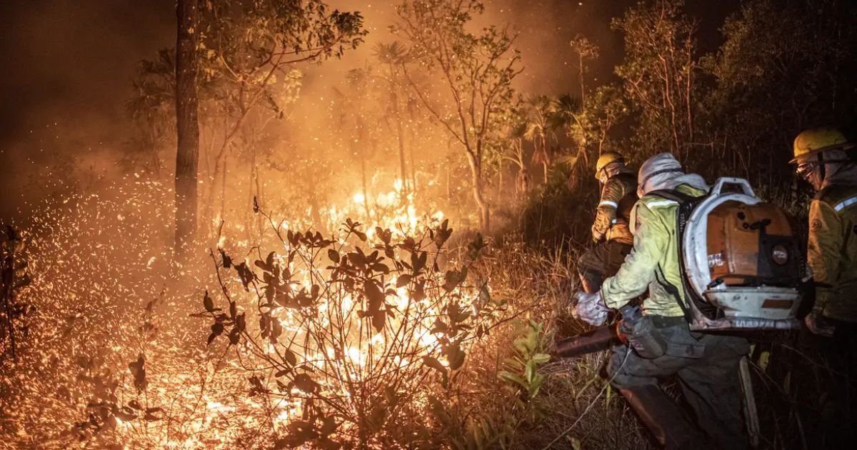 39c14df2cee17af2ee50450d032c8a65_Incendio-1